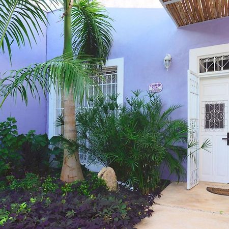 Casa Violeta Villa Mérida Kültér fotó