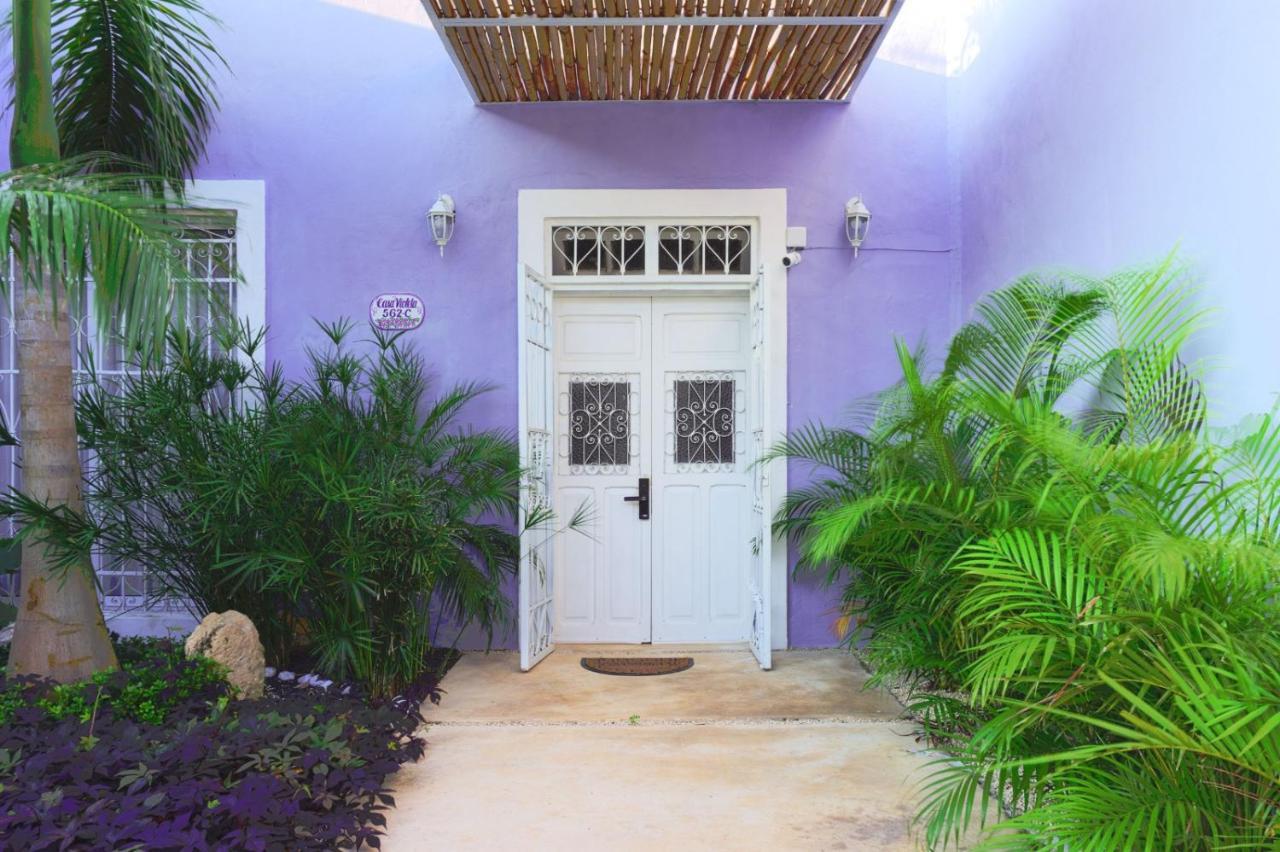 Casa Violeta Villa Mérida Kültér fotó