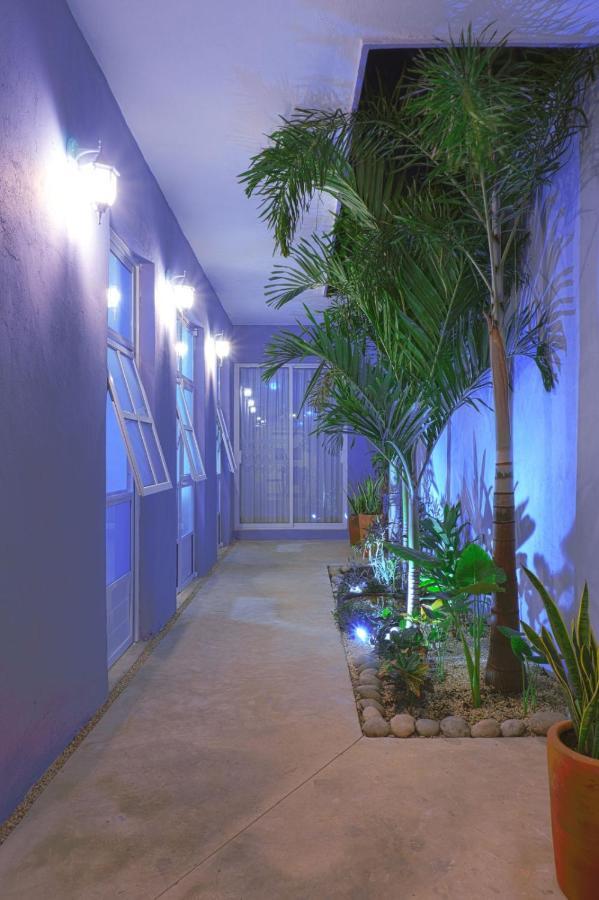 Casa Violeta Villa Mérida Kültér fotó